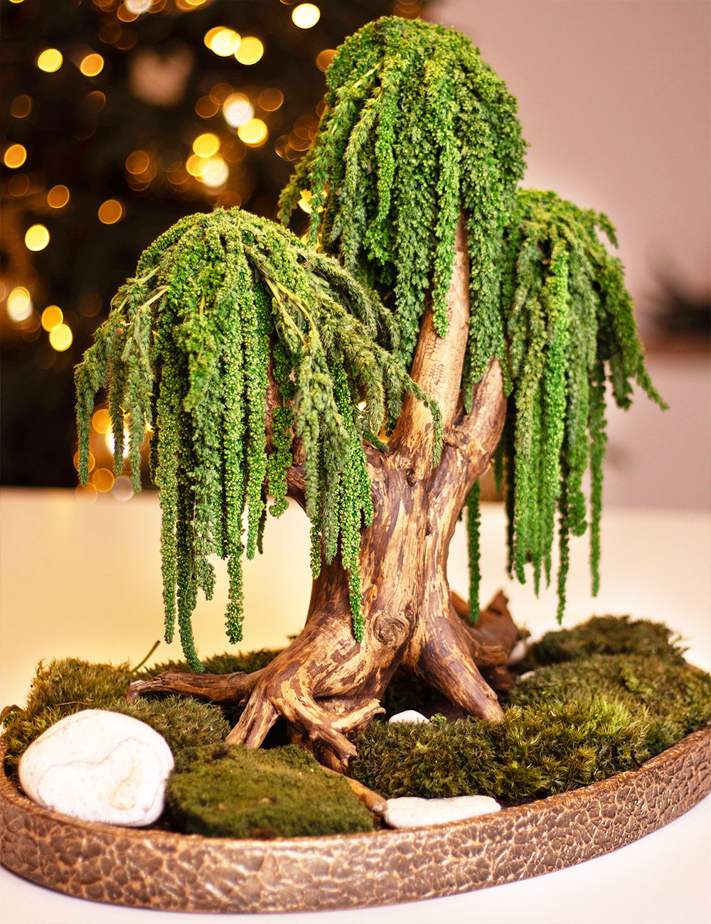 Декоративний бонсай 212 дерево із стабілізованого зеленого амаранту