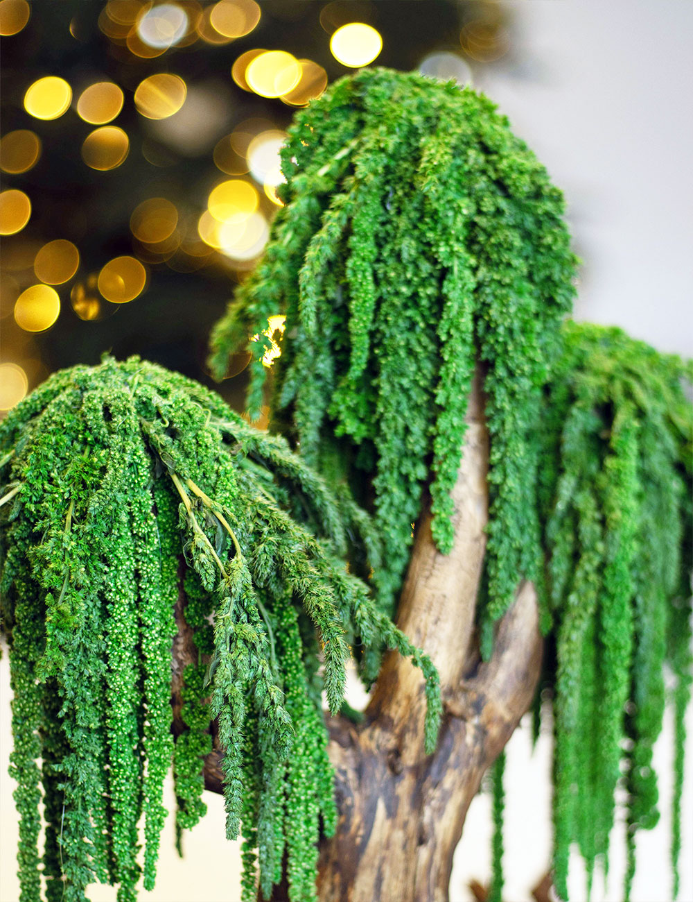 Декоративний бонсай 212 дерево із стабілізованого зеленого амаранту