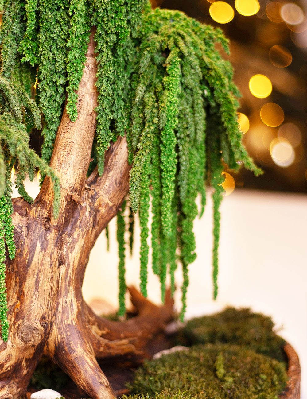 Декоративний бонсай 212 дерево із стабілізованого зеленого амаранту