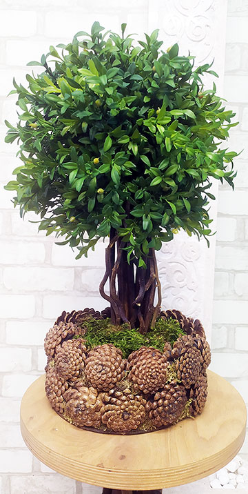 Бонсай 154 искусственное настольное  дерево самшит