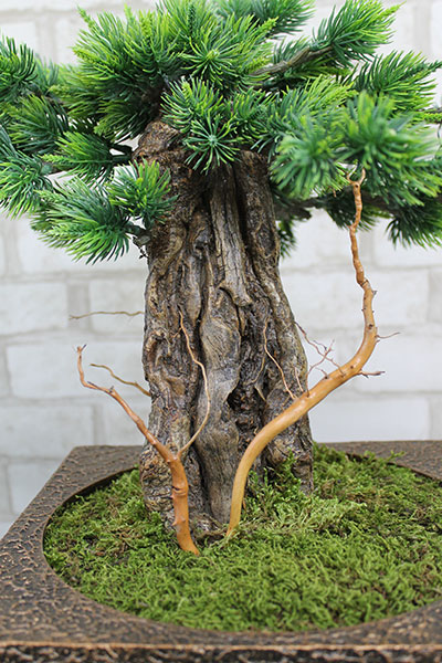 Декоративное настольное дерево бонсай №3