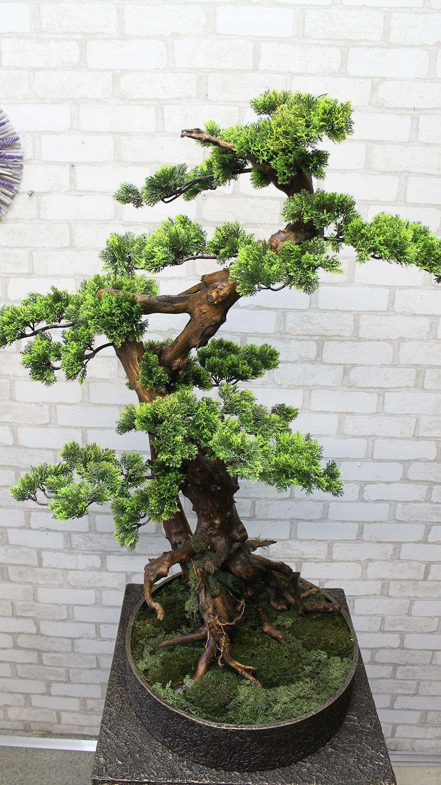 Декоративне дерево бонсай №50 для інтер'єру кафе