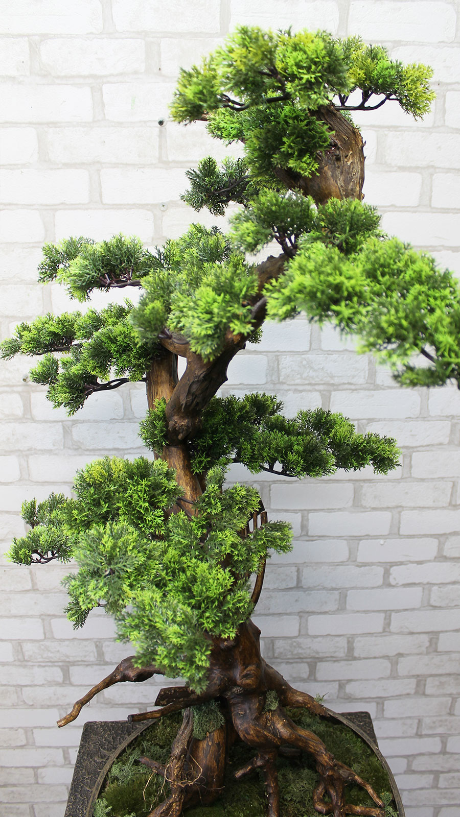 Декоративне дерево бонсай №50 для інтер'єру кафе