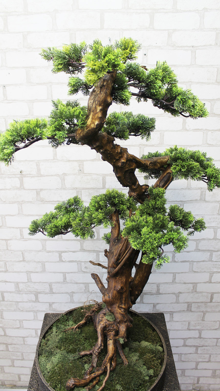 Декоративне дерево бонсай №50 для інтер'єру кафе