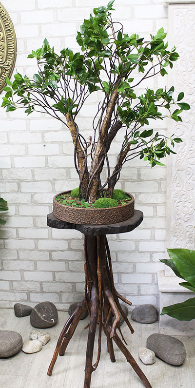 derevo-bonsai-92 (1).jpg