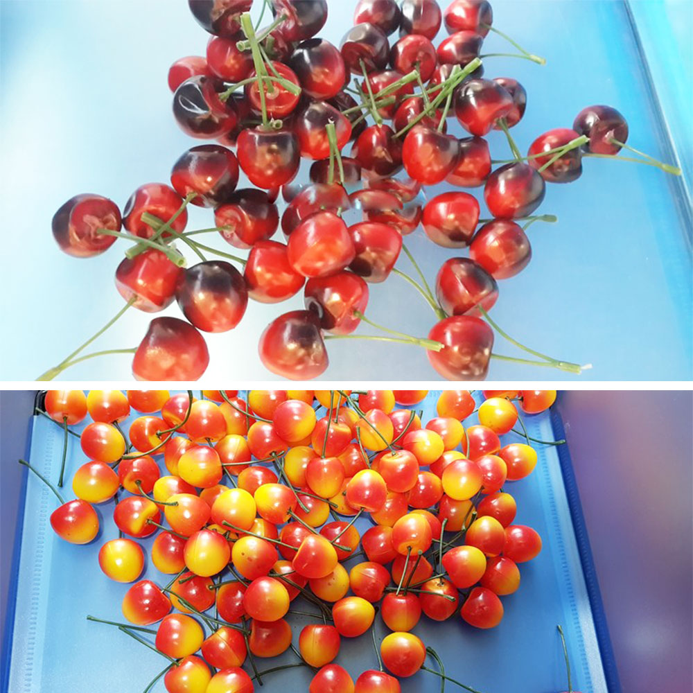 Черешня штучна Херсон Україна