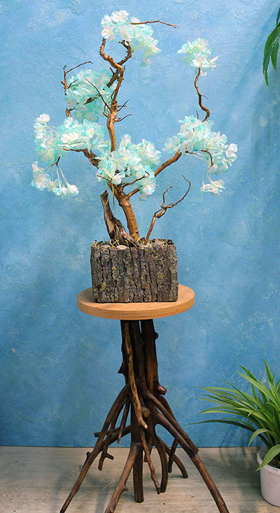 Декоративное дерево цветущая сакура бонсай