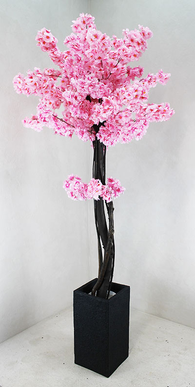 Сакура розовая декоративное дерево высотой 165 см