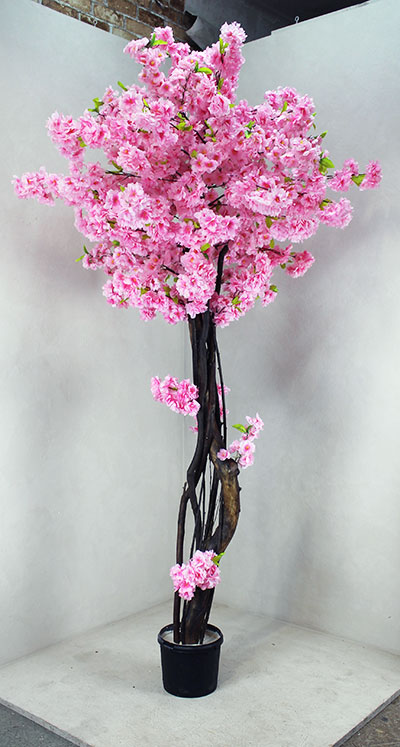 Декоративное дерево Розовая Сакура