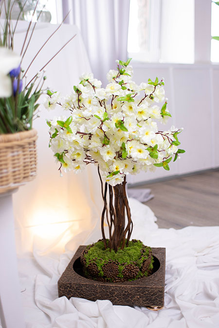 Белая сакура 74 дерево в вазоне со стабилизированным мхом