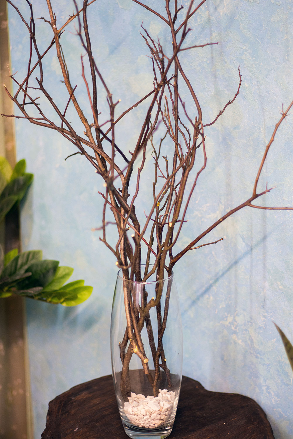 Гілки для декору інтер'єру