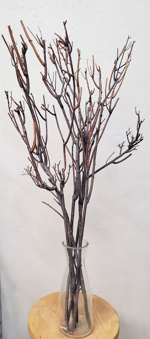 Гілки природні для декору екостиль