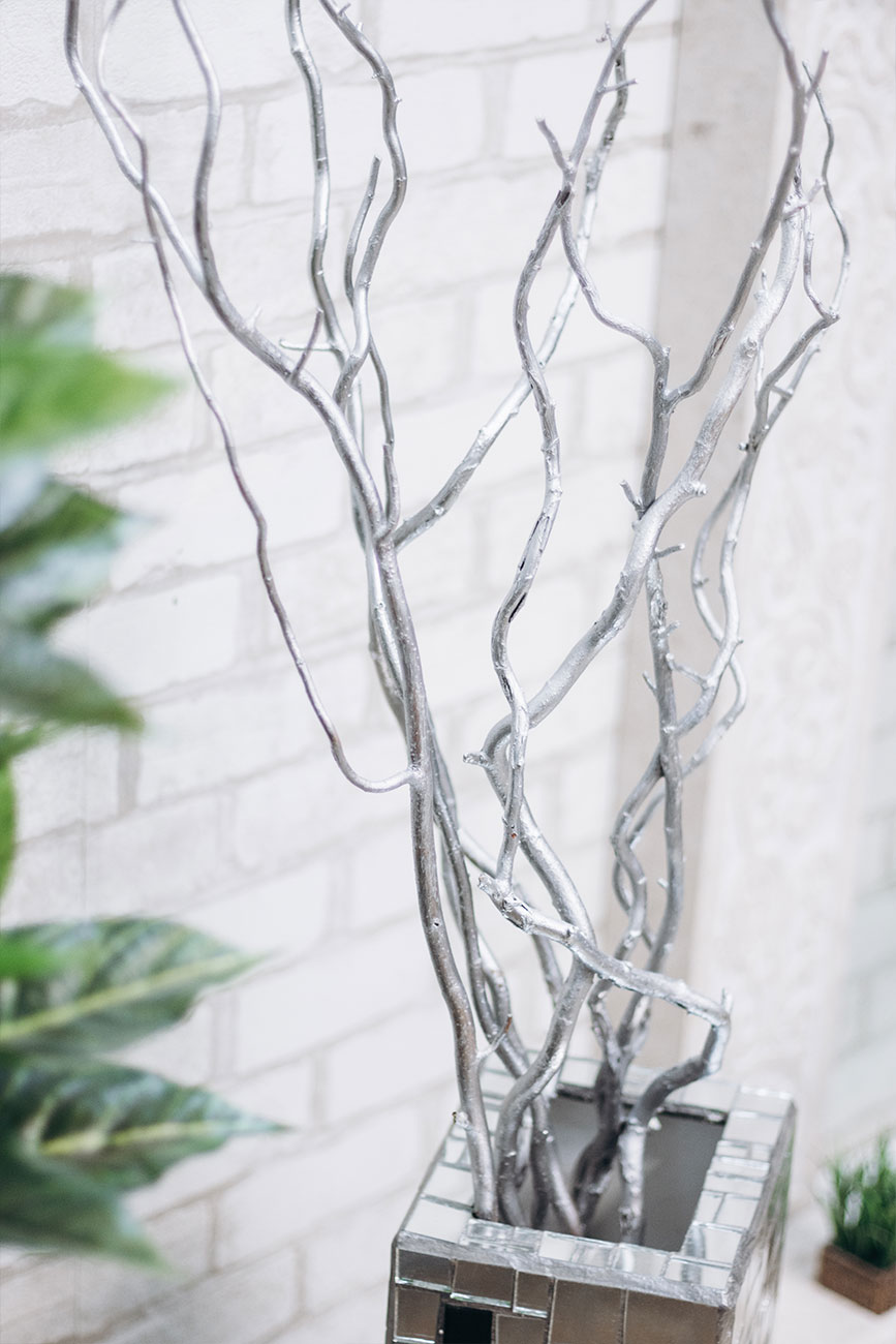 Гілки верби кручені сріблясті для декору