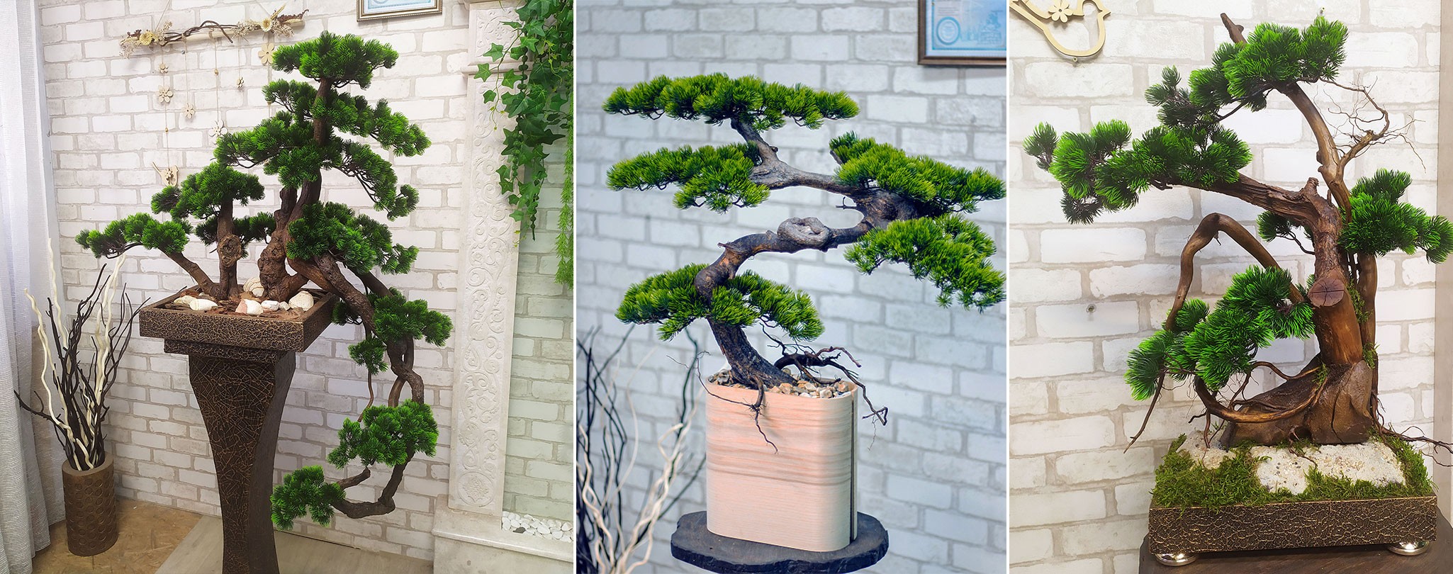 dekorativnye-derevya